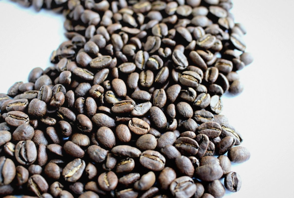 Bagged fresh-roasted coffee beans on the shelf